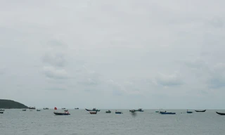 Tìm kiếm ngư dân đi câu mực nghi mất tích trên biển