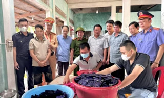 [CLIP] Vây bắt hai đối tượng mang súng áp tải lượng ma tuý ‘khủng’ từ Lào về Việt Nam 