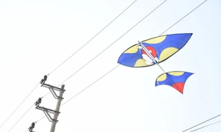 Gỡ diều vướng vào dây điện cao thế, bé trai bị điện giật bỏng nặng 