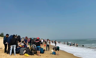 Đi dạo bờ biển nhặt 'lộc trời' lúc tinh mơ, thu tiền triệu mỗi ngày