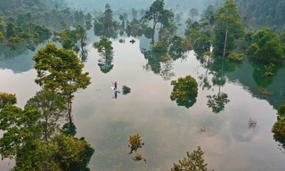 Phong Nha-Kẻ Bàng là ứng viên sáng giá của Danh lục Xanh IUCN 
