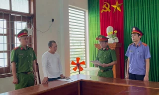 Công ty thuê máy xúc phục vụ công việc, phó tổng giám đốc mang đi bán 