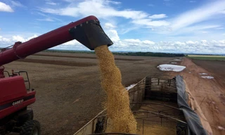 Trung Quốc có thể không thực hiện lời hứa mua nông sản Mỹ nếu Mỹ tăng thuế với hàng Trung Quốc. (Ảnh: Reuters)