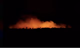 Nhiều vụ cháy rừng Amazon là do nông dân cố tình đốt để lấy đất. (Ảnh: Reuters)