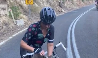 Gấu túi xin nước người đi đường