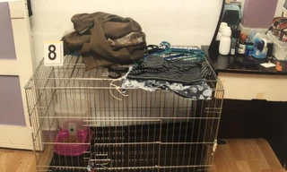 Chiếc chuồng mèo bị cặp vợ chồng nhẫn tâm dùng để nhốt con. (Ảnh: Today Online)