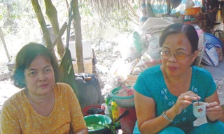 Hai chị em gái trên hoang đảo