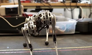 Robot leo núi 'Mini Cheetah'