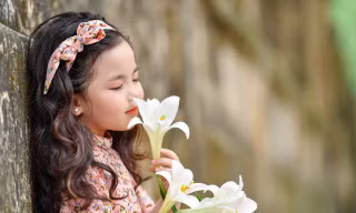 Bé gái Hà Nội thỏa sức tạo dáng trên con đường ngập lá sấu vàng Phan Đình Phùng