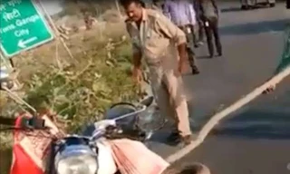 Trăn khủng liên tiếp chồm lên tấn công cảnh sát ở Ấn Độ