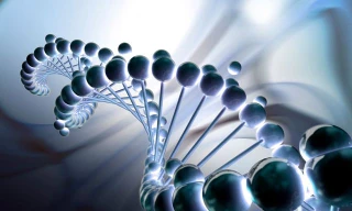 Trong tương lai không xa, các nhà khoa học Mỹ cho rằng có cách giúp con người chống lại được quy luật lão hoá tự nhiên.