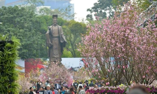 Tổ chức lựa chọn Đại sứ thiện chí hoa anh đào 2019 trong khuôn khổ Lễ hội hoa anh đào Nhật Bản-Hà Nội 2019