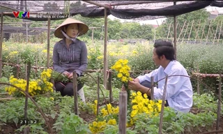 Ông Sơn ngày càng thân thiết với cô Hạnh trồng hoa