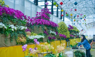 Các nghệ nhân chuẩn bị những tiểu cảnh, đại cảnh trưng bày hoa lan tại lễ hội hoa