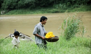 "Cha cõng con" tiếp tục đến với khán giả trẻ