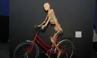 Sở VHTT TPHCM ra quyết định tạm dừng triển lãm