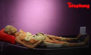 Bộ VHTTDL chưa có quyết định cuối cùng về triển lãm đang gây tranh cãi