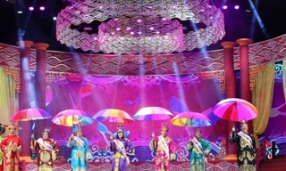 Dàn Táo đông đảo năm 2018