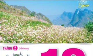 Một số loại lịch bloc gá rẻ phục vụ người tiêu dùng