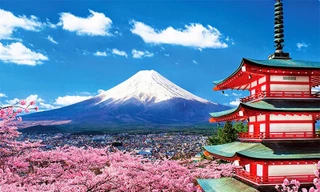 Nhật Bản hủy bỏ tư cách, đình chỉ 8 công ty du lịch đại diện tư cách xin cấp visa đoàn