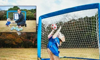 Đầu năm Tuất kể chuyện… kỷ lục chó