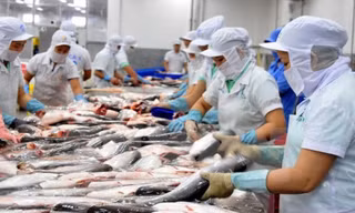 Thượng viện Hoa Kỳ vừa bỏ phiếu thông qua dự thảo Nghị quyết bãi bỏ Chương trình giám sát cá da trơn.