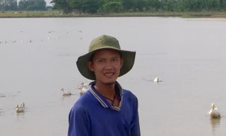 Tiếng chỉ trồng lúa 2 vụ/năm, vụ còn lại để dành cho... đất nghỉ. Ảnh: H.H