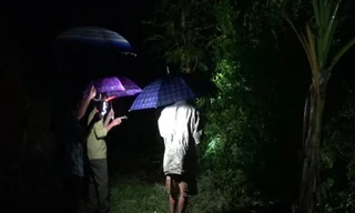 “truy” rắn lục đuôi đỏ