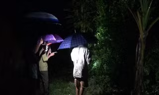 “truy” rắn lục đuôi đỏ