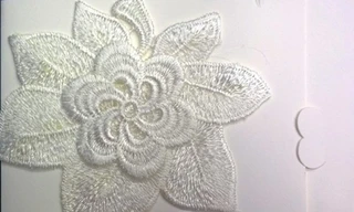 Tiết lộ thiệp cưới của ‘cá sấu chúa’ Quỳnh Nga