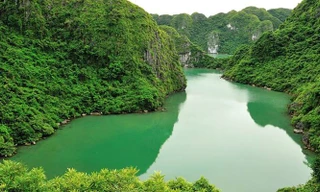 Vườn quốc gia Cát Bà nằm ở đâu, có gì đặc biệt?