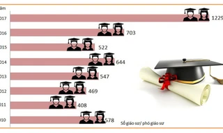 Rà soát lại 95 hồ sơ ứng viên GS,PGS năm 2017 cho thấy nhiều hồ sơ có dấu hiệu 'gian dối'.