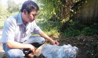 Sự thật hòn đá lăn lông lốc bỗng nổi tiếng chữa được bệnh