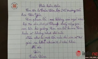 Bản kiểm điểm lời hứa “có một không hai” của học sinh lớp 2