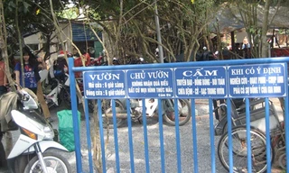 Cảnh ngồi nằm la liệt trong 'khu vườn kỳ lạ' ngày mồng 1 Tết