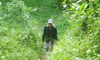  “Người rừng” Hồ Văn Lang hòa nhập nhanh với cuộc sống cộng đồng