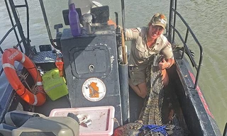 Choáng váng với cá sấu “quái vật” to nhất năm 2017