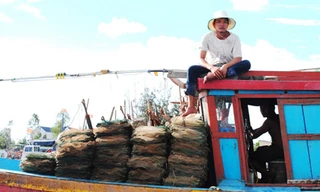 Ngư dân sử dụng ngư lưới cụ thô sơ khai thác ven biển Tây Nam Cà Mau 