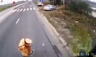 Hình ảnh cảnh sát giao thông Hà Nam gây xôn xao dư luận thời gian vừa qua (ảnh cắt từ clip).
