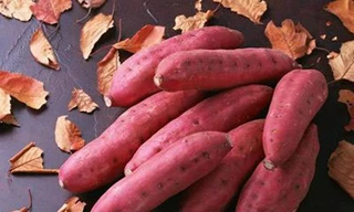 Chữa say tàu xe, mụn nhọt… bằng khoai lang