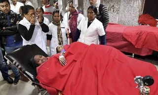 Các nạn nhân may mắn sống sót