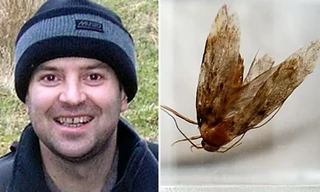 Bướm sống trong tai người đàn ông suốt 3 ngày