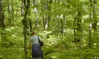 Làm thế nào để sống sót nếu bị lạc trong rừng?