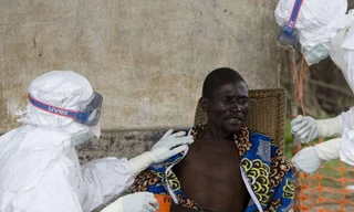 Ebola đã cướp đi sinh mệnh của hàng ngàn người