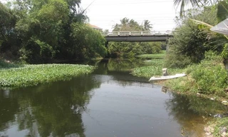 Buồn buồn, nhảy cầu tự tử