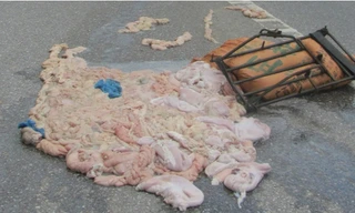 Nầm lợn thối tung toé ra đường 