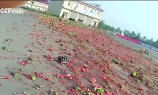 Xe tải mất lái, 30 tấn dưa hấu đổ đầy đường