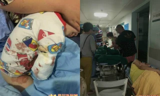Em bé bị hổ tấn công. Ảnh: Shanghaiist
