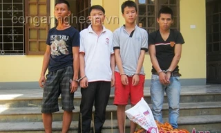 Bắt nhóm 'miêu tặc' thành Vinh