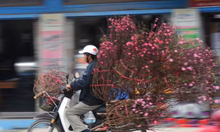 Xe ôm chở hoa kiếm bộn tiền dịp Tết